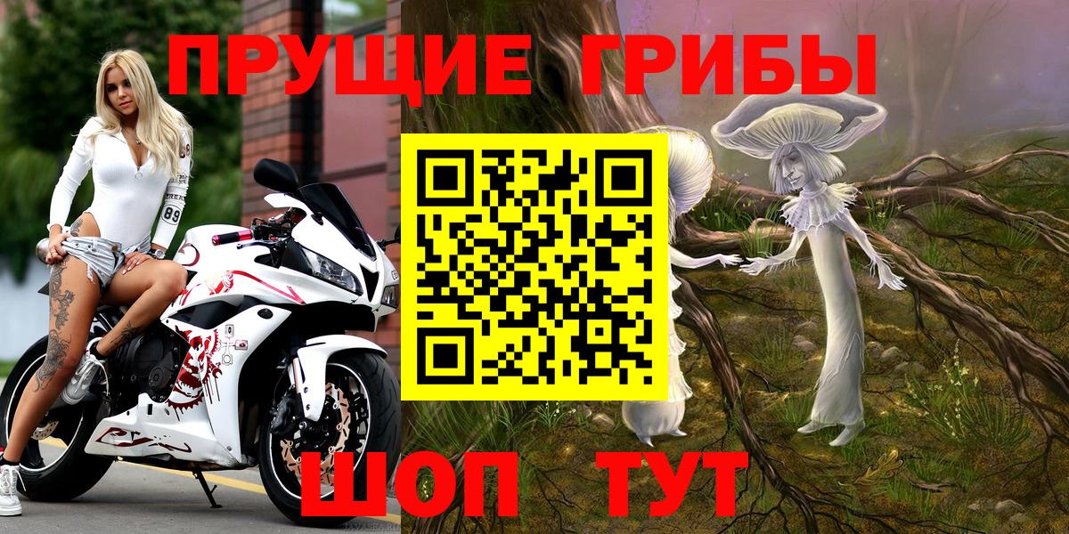 как найти   Галлюциногенные грибы Psilocybe  Вход с VPN  Армавир  Галлюциногенные грибы Psilocybe 
